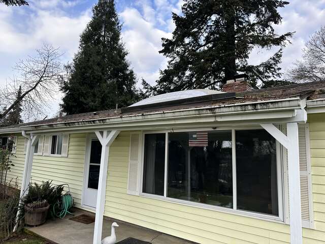 Gutter Cleaning Before