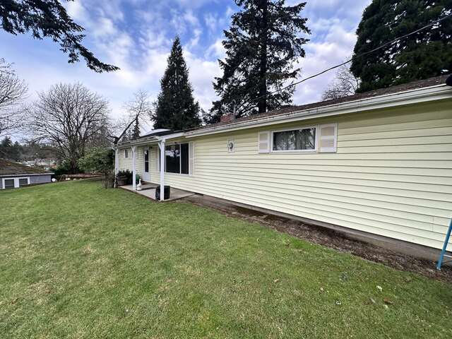 Gutter Cleaning Before